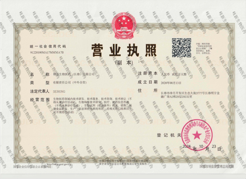 Establishment of Changchun Company