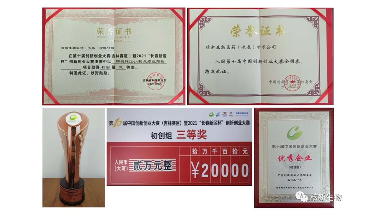 多元创新，铸就辉煌